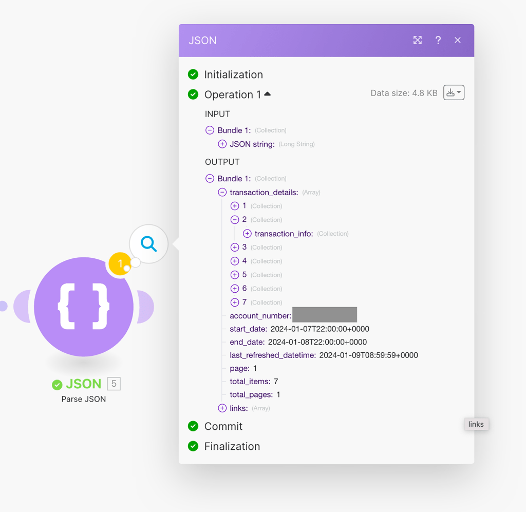 Parsing JSON received as the transactions report