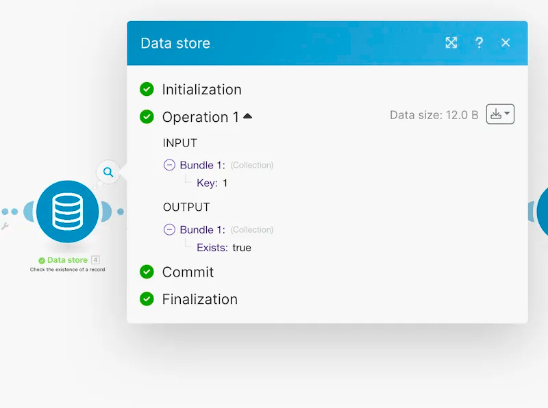 Make data store module - Check the existence of a record output